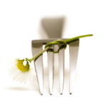 GD_Fork