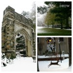 Since hiring a full-time sustainability coordinator in 2008, Drew University has made the Presidents Climate Commitment to go carbon neutral by 2035, turned the Environmental Studies minor into a major, and won the Governor's Environmental Excellence Award for its campus reforestation initiative, among other efforts.