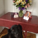Gracie_Flowers1