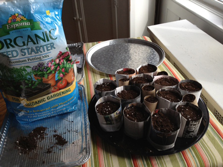 organic soil and newspaper and toilet paper seedling pots