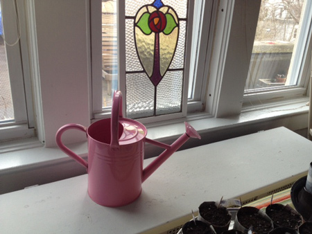 Green Diva Meg's pink indoor watering can