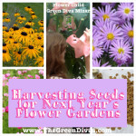 flower child collage