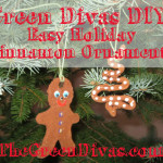 DIY Cinnamon ornament graphic