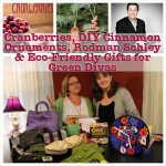 Green Divas Radio Show Collage from the 12.6.13 show