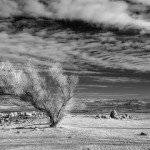 Photo: Robert Couse-Baker