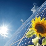 sunflower and solar panel