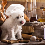 green divas homemade dog treat recipe