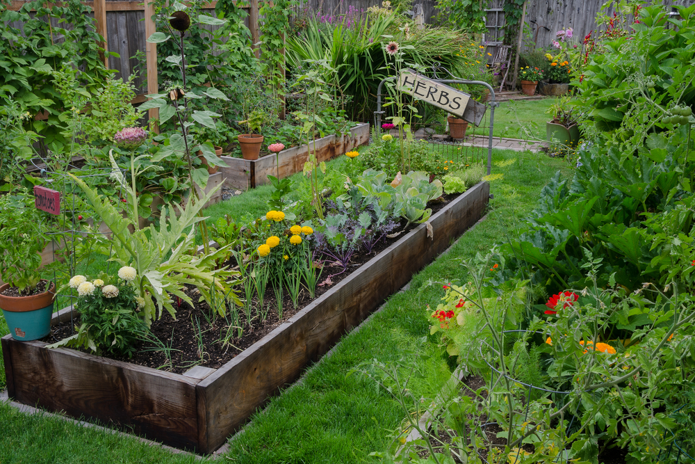 garden eco friendly green backyard