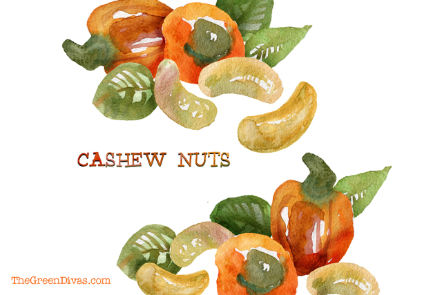 raw cashews illustration on the green divas