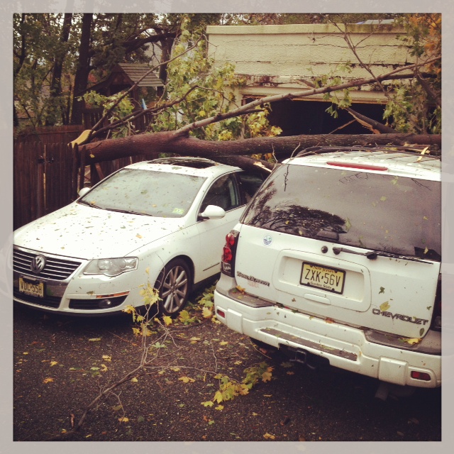 2 of Green Diva Meg's family's cars trashed by Sandy