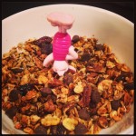 Piglet headfirst in the granola