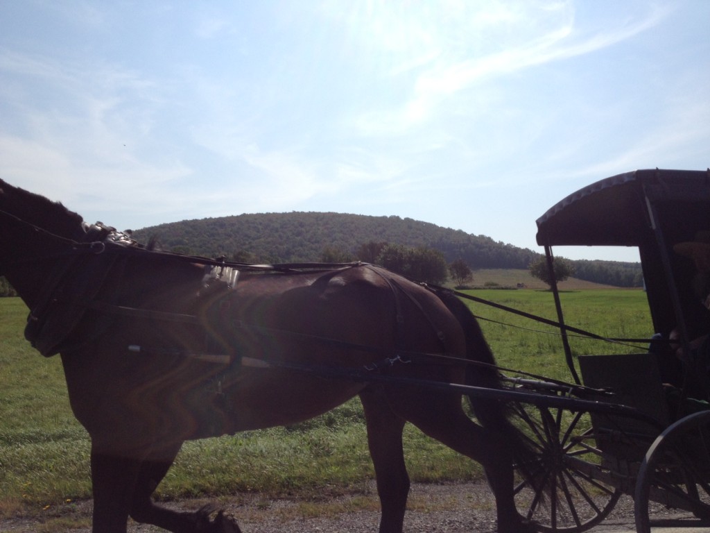 horse and buggy on maine highway