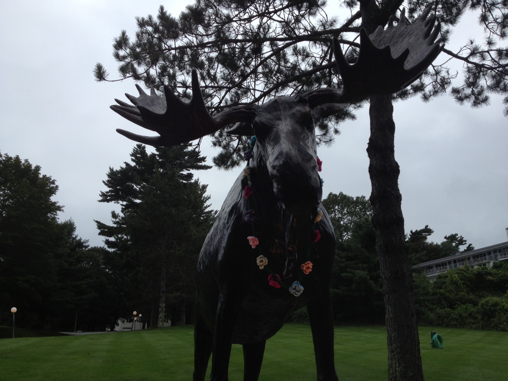 Moose with knit necklace