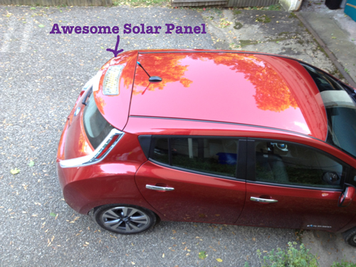 Nissan Leaf Solar Panel