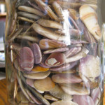 Just one of several jars full