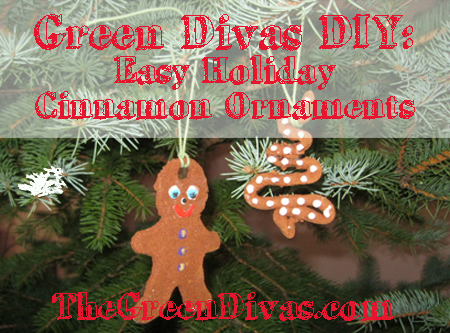 DIY Cinnamon ornament graphic