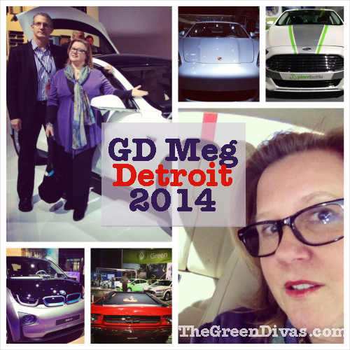 GD Meg in Detroit image collage