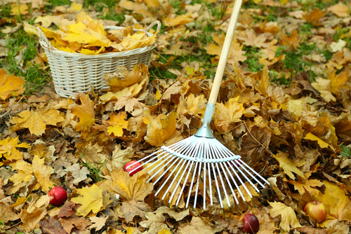 6 Steps to Easy Composting, Even if You Don’t Have a Garden – The Green ...