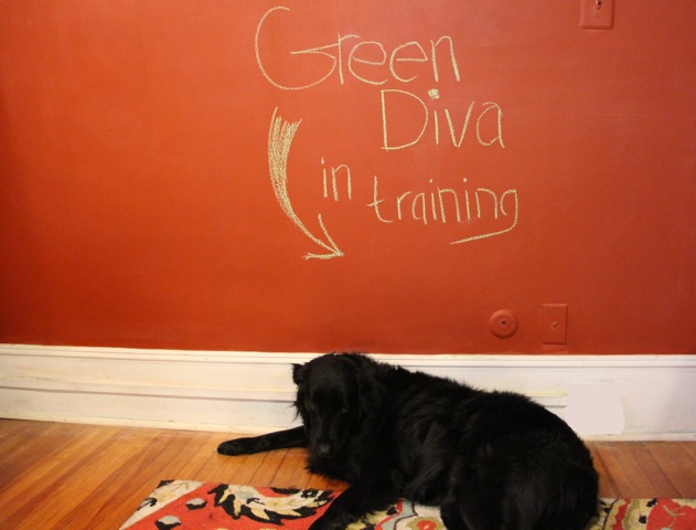 Green Divas in Training Dog