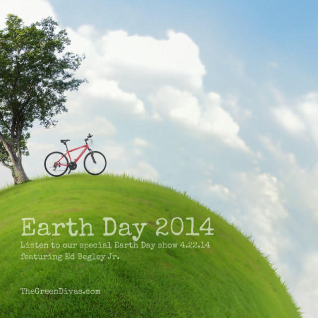 8 things we can do to celebrate earth day