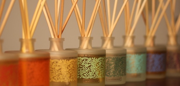 Essential Oil Diffusers by rareESSENCE at TrueGoods.com