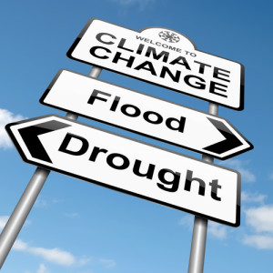 climate change sign