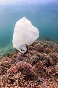 plastic oceans pollution