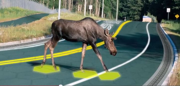moose on solar freakin roadways