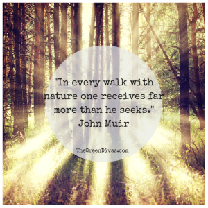 5 Restorative Powers of Nature – The Green Divas