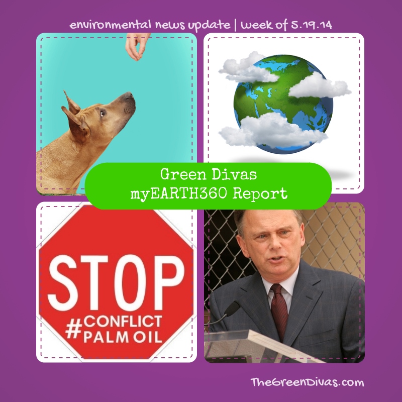 myEARTH360 Report pat sajak climate tweet
