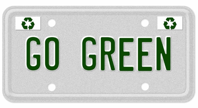 green driving license plate