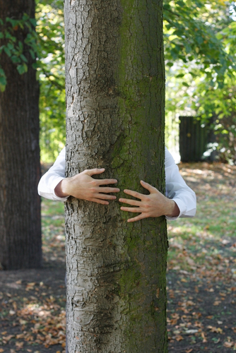 treehugger tree hugger nature