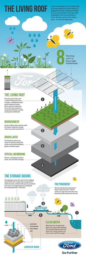 Cool Facts About Green Roofs – The Green Divas