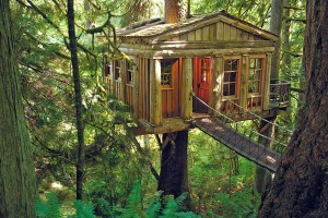 glamping treehouse