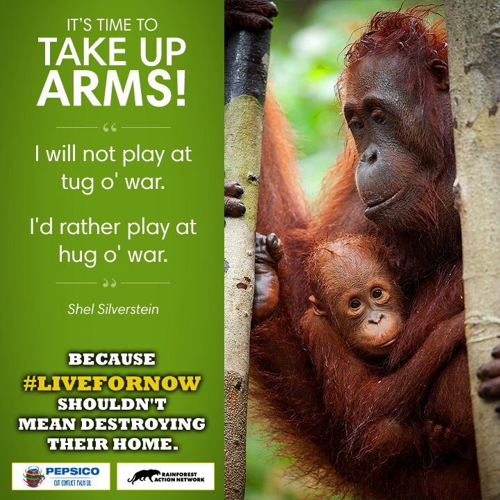orangutans conflic palm oil #Livefornow
