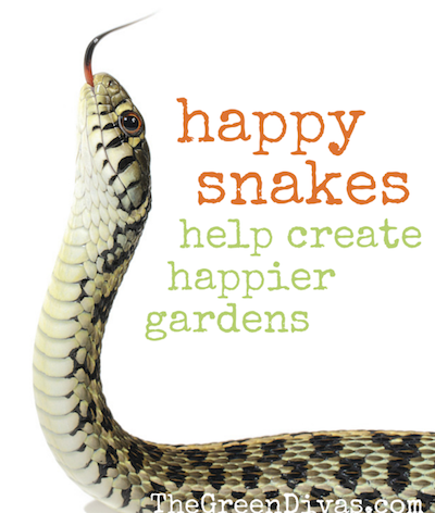 happy snakes, happy gardens