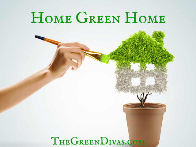 eco-friendly home image on the green divas