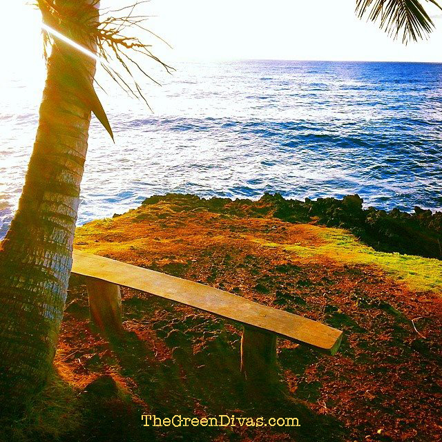Green Divas meditation spot in Hawaii 2014
