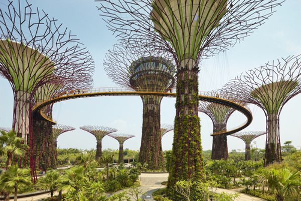 Singapore tree building green cities