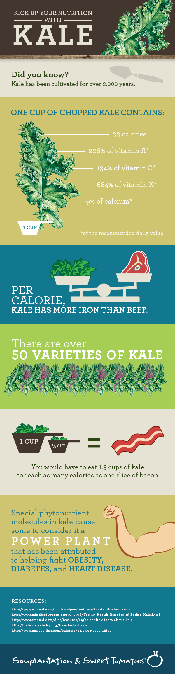 benefits of kale infographic