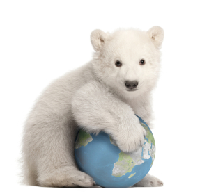 polar bear cub and earth