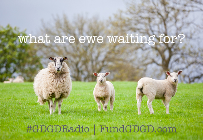 GDGD Radio Network - sheep pitch