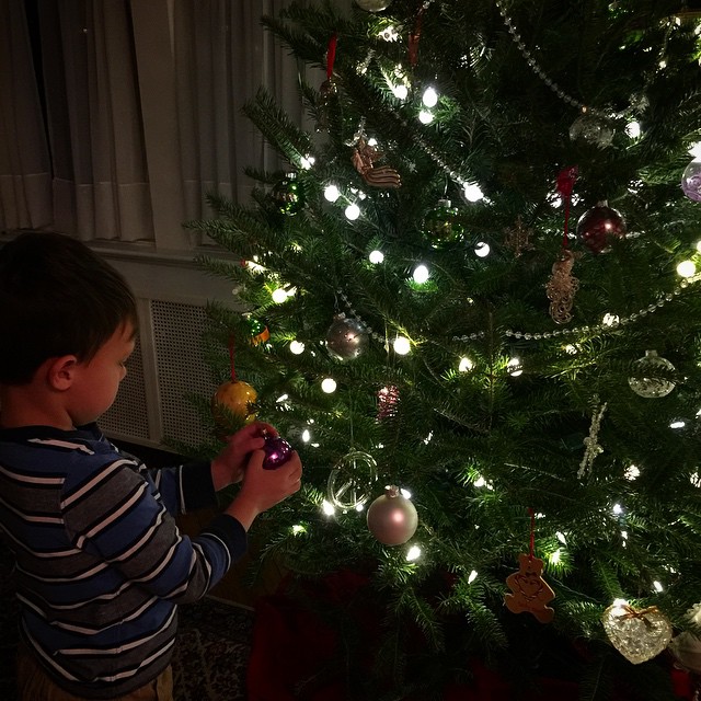 GDMeg's granson and Christmas tree 2014