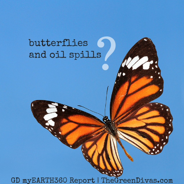 butterflies and oil spills