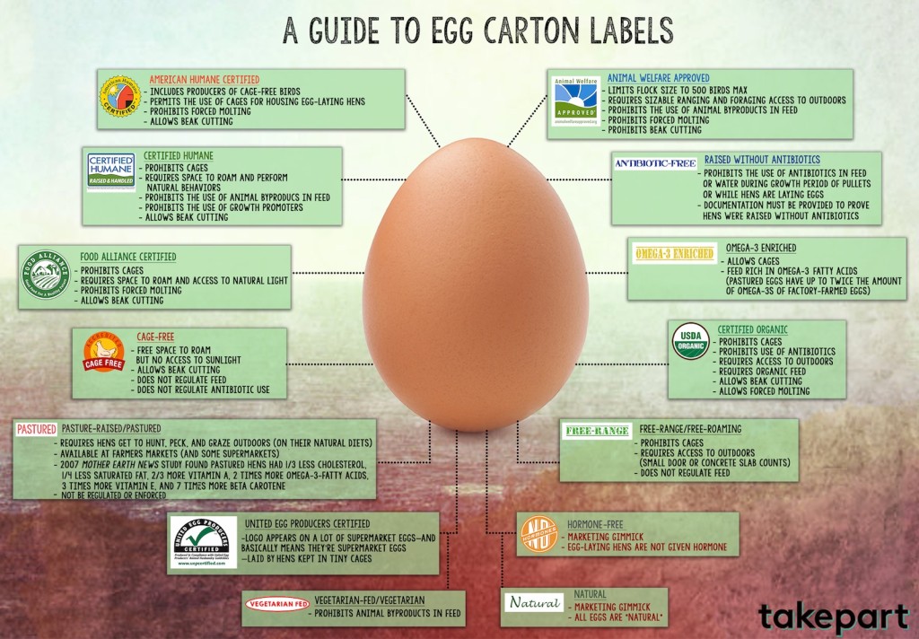 egg labeling infographic