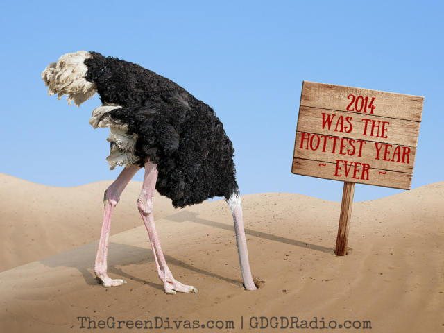 ostrich in denial, head in sand 2