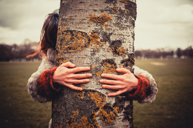 hugging a tree can make us feel happy