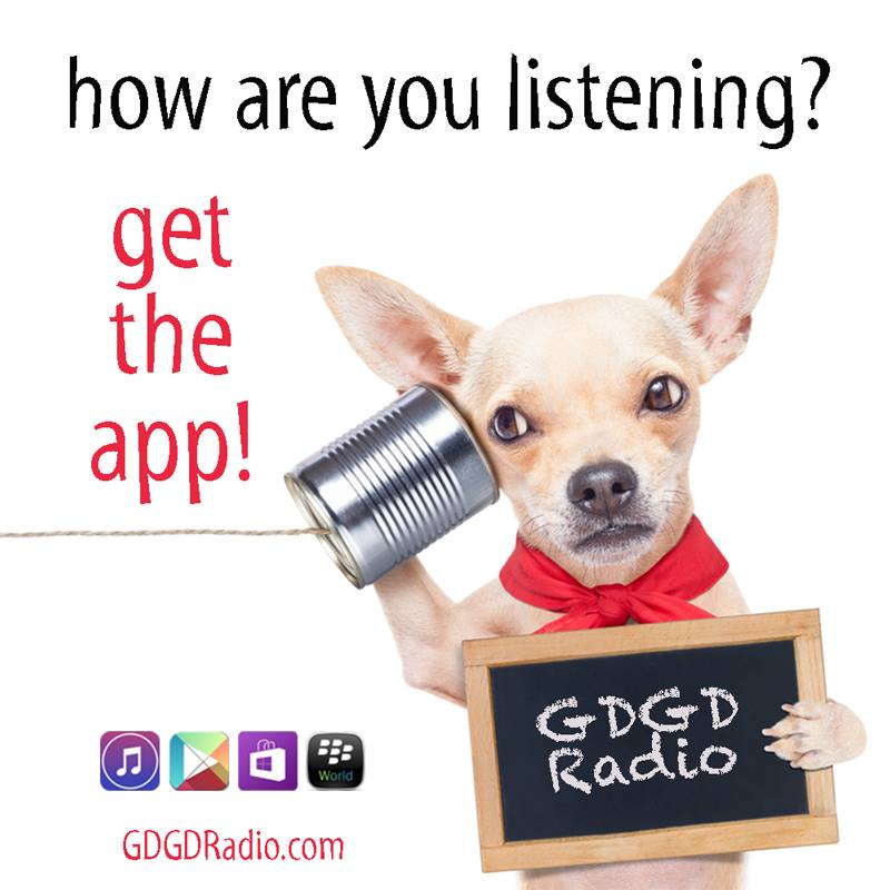 GDGD Radio app image