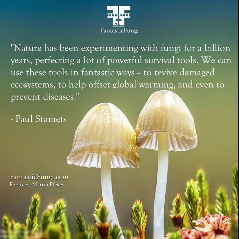 fungi quote 1