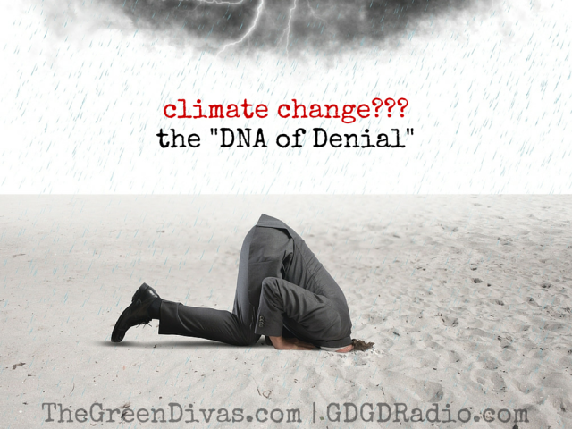 climate change denial